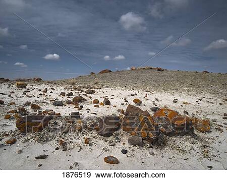 Stock Photo - Seven Persons, Alberta, Canada; Broken Rocks On White Mud In Red Rock Coulee. Fotosearch