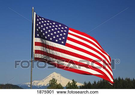 Stock Image - The American Flag. Fotosearch