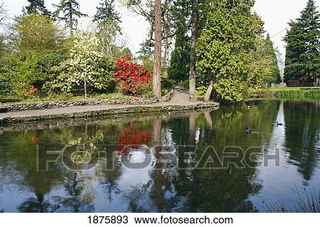 Stock Image - Trees Reflected In A Lake. Fotosearch