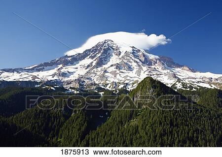 Stock Image - Washington, United States Of America; Mt. Rainier In Mt. Rainier National Park. Fotosearch