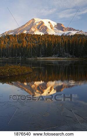 Washington, United States Of America; Reflection Of Mount Rainier In A Lake With Ice On The Surface In Mt. Rainier National Park View Large Photo Image Stock Image - Washington, United States Of America; Reflection Of Mount Rainier In A Lake With Ice On The Surface In Mt. Rainier National Park. Fotosearch