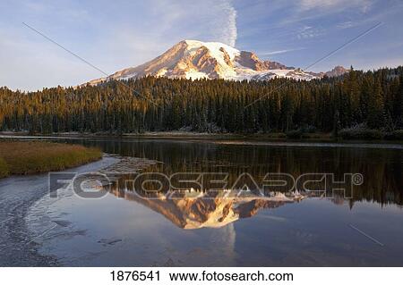 Washington, United States Of America; Reflection Of Mount Rainier In A Lake With Ice On The Surface In Mt. Rainier National Park View Large Photo Image Stock Image - Washington, United States Of America; Reflection Of Mount Rainier In A Lake With Ice On The Surface In Mt. Rainier National Park. Fotosearch