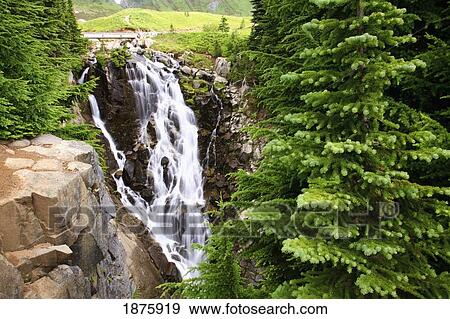 Stock Photo - Washington, United States Of America; Edith Creek Falls In Mt. Rainier National Park. Fotosearch