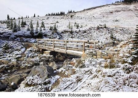 Washington, United States Of America; Fresh Snow On A Bridge Along Edith Creek In Mt. Rainier National Park View Large Photo Image Stock Photo - Washington, United States Of America; Fresh Snow On A Bridge Along Edith Creek In Mt. Rainier National Park. Fotosearch