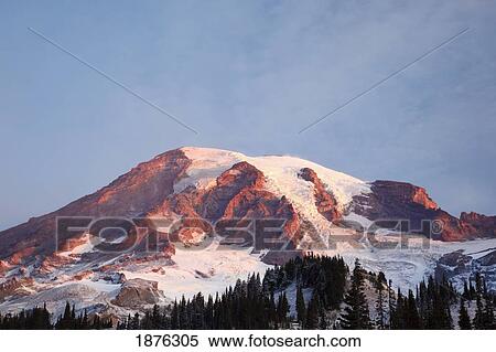 Washington, United States Of America; Sunrise On Mount Rainier At Paradise Park In Mt. Rainier National Park View Large Photo Image Stock Photography - Washington, United States Of America; Sunrise On Mount Rainier At Paradise Park In Mt. Rainier National Park. Fotosearch