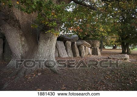 Stock Image - 300 year old oak tree and megaliths; esse, france. Fotosearch