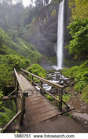 a bridge over columbia river and latourell falls in columbia river gorge national scenic area; oregon, united states of america View Large Photo Image Stock Image - a bridge over columbia river and latourell falls in columbia river gorge national scenic area; oregon, united states of america. Fotosearch