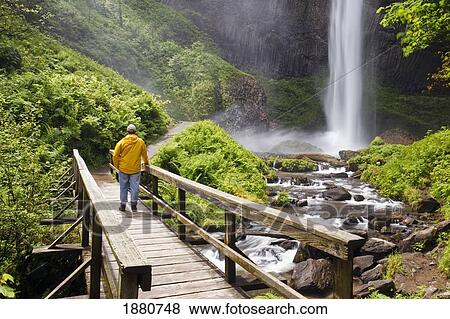 Stock Photo - a hiker on a bridge looking at latourell falls in columbia river gorge national scenic area; oregon, united states of america. Fotosearch