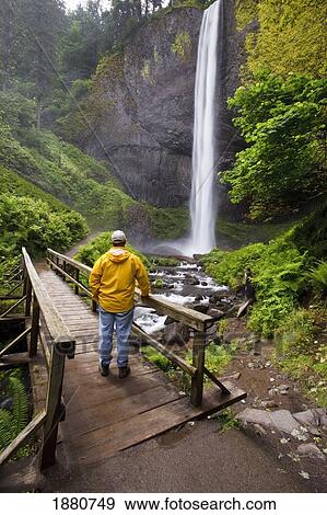 a hiker on a bridge looking at latourell falls in columbia river gorge national scenic area; oregon, united states of america View Large Photo Image Stock Photo - a hiker on a bridge looking at latourell falls in columbia river gorge national scenic area; oregon, united states of america. Fotosearch