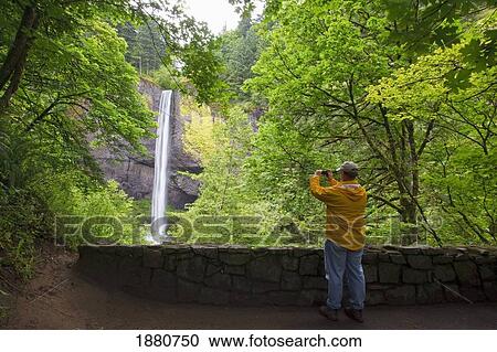Stock Image - a hiker taking a picture of latourell falls in columbia river gorge national scenic area; oregon, united states of america. Fotosearch