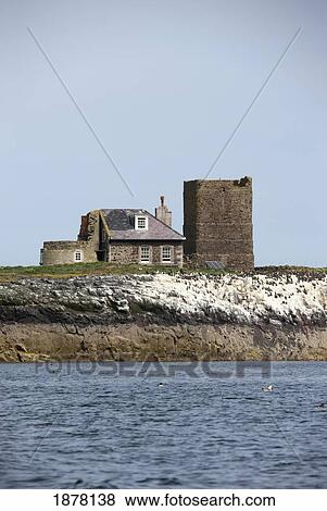 Stock Photo - a house along the shore; farne islands, northumberland, england. Fotosearch