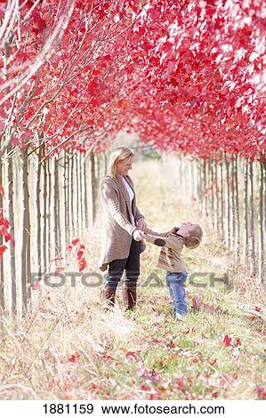 Stock Photo - a mother and son playing in the trees; gresham, oregon, united states of america. Fotosearch