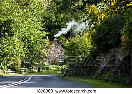 a road surrounded by trees leading to a house; northumberland, england View Large Photo Image Stock Image - a road surrounded by trees leading to a house; northumberland, england. Fotosearch
