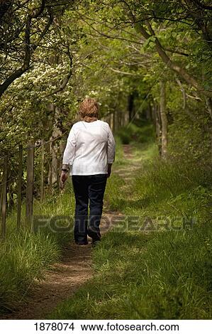 a woman walking along a path; swarland, northumberland, england View Large Photo Image Picture - a woman walking along a path; swarland, northumberland, england. Fotosearch