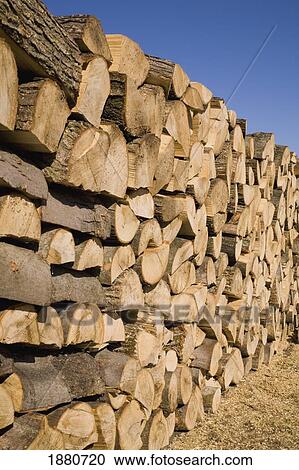 a wood pile; farnham, quebec, canada View Large Photo Image Stock Image - a wood pile; farnham, quebec, canada. Fotosearch