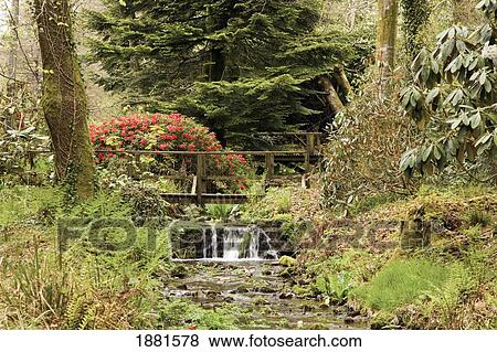 a wooden bridge over a stream in dartmoor national park; devon, england View Large Photo Image Stock Photo - a wooden bridge over a stream in dartmoor national park; devon, england. Fotosearch