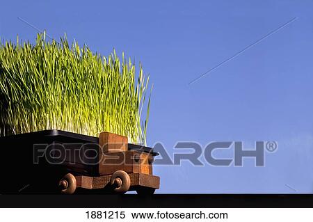 a wooden toy truck hauling green grass; edmonton, alberta, canada View Large Photo Image Stock Photography - a wooden toy truck hauling green grass; edmonton, alberta, canada. Fotosearch