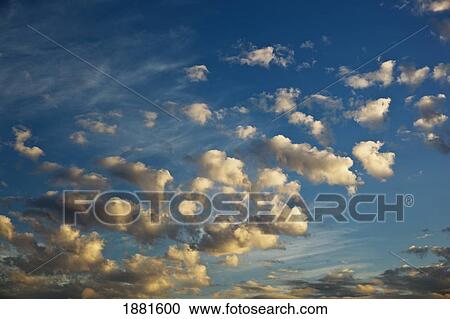 altocumulus clouds in a blue sky View Large Photo Image Stock Image - altocumulus clouds in a blue sky. Fotosearch