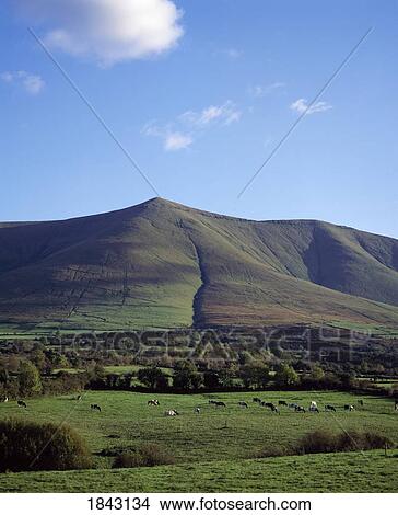 Anglesborough, Co Tipperary, Ireland; Galtee Mountains View Large Photo Image Picture - Anglesborough, Co Tipperary, Ireland; Galtee Mountains. Fotosearch