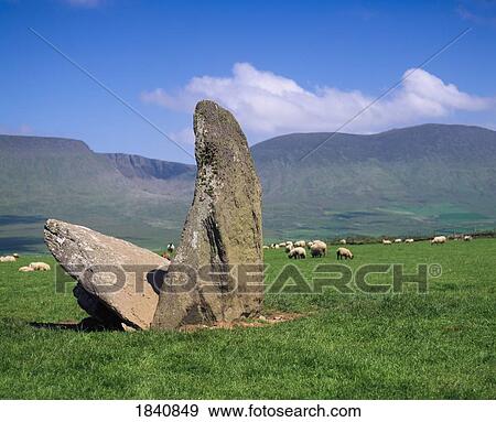 Stock Photo - Archaelogy Megalithic Dolmens, Dingle Peninsula Megalithic, Tomb At Ardamor,. Fotosearch