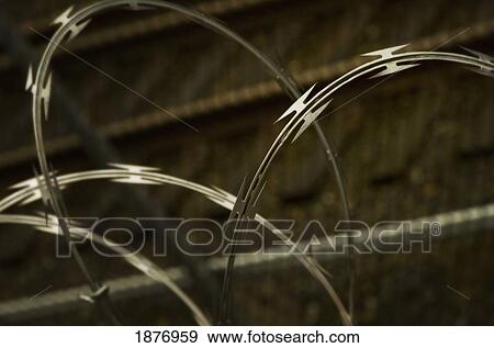 barbed wire fence View Large Photo Image Stock Photo - barbed wire fence. Fotosearch