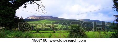 Benevenagh Through The Trees, Limavaddy, Co Derry, Northern Ireland View Large Photo Image Stock Image - Benevenagh Through The Trees, Limavaddy, Co Derry, Northern Ireland. Fotosearch