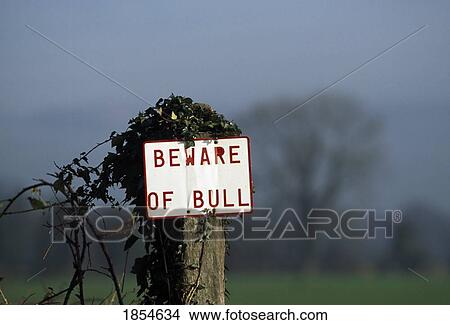 Beware Of Bull Sign View Large Photo Image Picture - Beware Of Bull Sign. Fotosearch