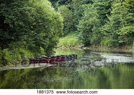 Stock Photography - boats lined up in shallow water of a river bank; warkworth, northumberland, england. Fotosearch