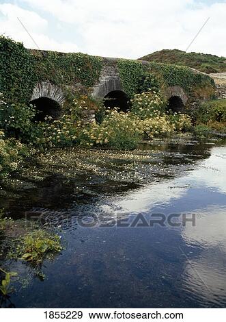 Bridge, County Cork, Ireland View Large Photo Image Stock Photo - Bridge, County Cork, Ireland. Fotosearch