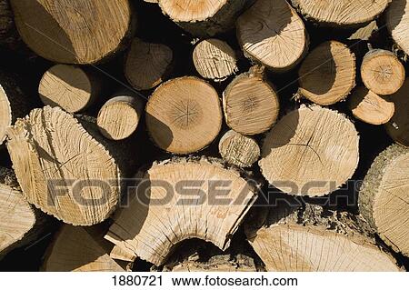 close up of a wood pile; farnham, quebec, canada View Large Photo Image Stock Image - close up of a wood pile; farnham, quebec, canada. Fotosearch