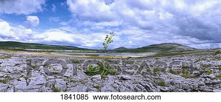 Co Clare, Lough Gealain Mullach More, Near Kilnaboy, View Large Photo Image Stock Photography - Co Clare, Lough Gealain Mullach More, Near Kilnaboy,. Fotosearch