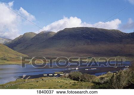 Stock Photo - Co Galway, Killary Harbour And Twelve Pins. Fotosearch