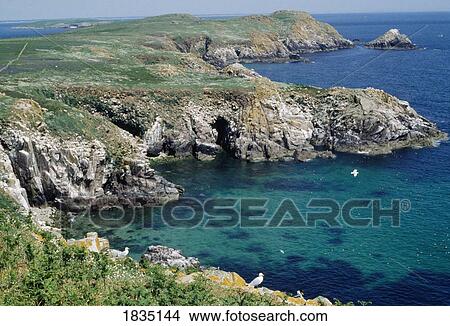 Co Wexford, Saltee Island View Large Photo Image Picture - Co Wexford, Saltee Island. Fotosearch