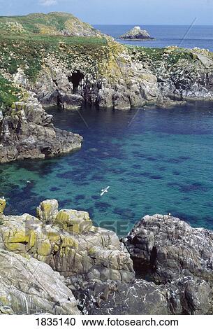 Co Wexford, Saltee Islands View Large Photo Image Stock Image - Co Wexford, Saltee Islands. Fotosearch