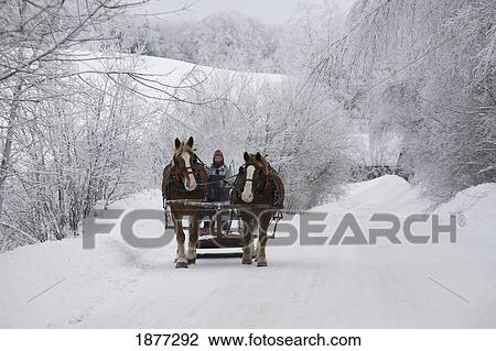 Stock Image - cowansville, quebec, canada; a horse drawn sleigh ride through the snow. Fotosearch