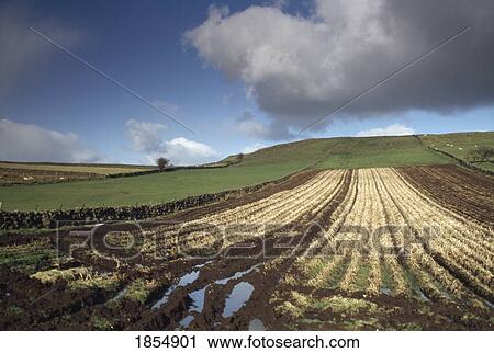 Disasters, Flooding, Glens Of Antrim View Large Photo Image Stock Image - Disasters, Flooding, Glens Of Antrim. Fotosearch