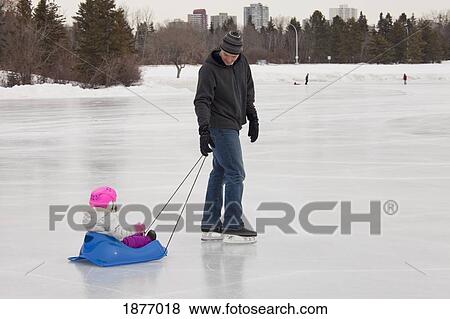 edmonton, alberta, canada; a father pulls his young daughter in a sled over an outdoor ice rink View Large Photo Image Stock Photo - edmonton, alberta, canada; a father pulls his young daughter in a sled over an outdoor ice rink. Fotosearch