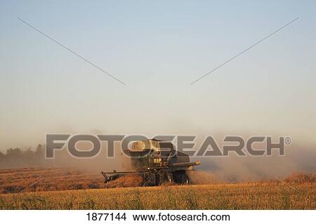 edmonton, alberta, canada; a truck clearing land on a construction site View Large Photo Image Picture - edmonton, alberta, canada; a truck clearing land on a construction site. Fotosearch