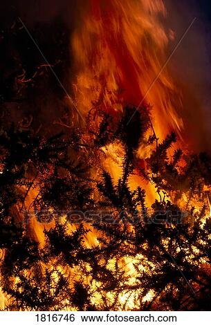 Fire View Large Photo Image Stock Photograph - Fire. Fotosearch