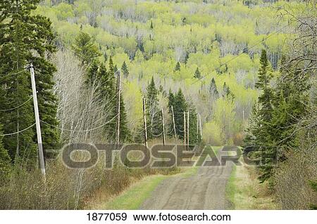 hymers, ontario, canada; electricity wires running along a country road View Large Photo Image Stock Photo - hymers, ontario, canada; electricity wires running along a country road. Fotosearch