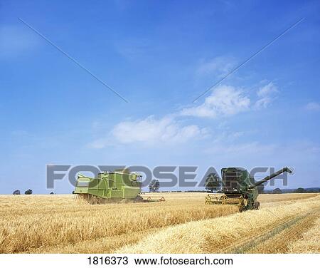 Ireland, Agriculture, Combine Harvesting View Large Photo Image Stock Image - Ireland, Agriculture, Combine Harvesting. Fotosearch