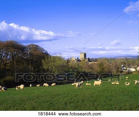 Picture - Jerpoint Abbey, County Kilkenny, Ireland. Fotosearch