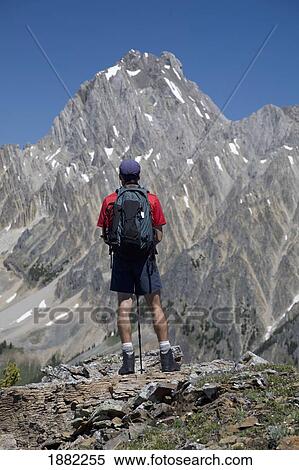 Stock Photography - male hiker standing on top of a ridge with a mountain in the background; alberta, canada. Fotosearch