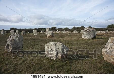 Stock Image - megaliths; carnac, brittany, france. Fotosearch