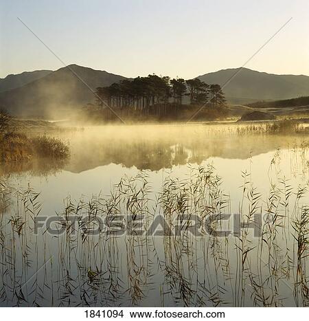 Mist Rising Off A Lake View Large Photo Image Picture - Mist Rising Off A Lake. Fotosearch