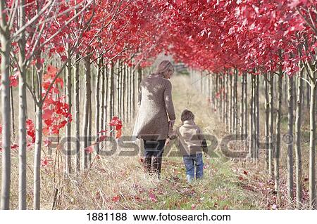 mother and son walking through the trees; portland, oregon, united states of america View Large Photo Image Stock Photo - mother and son walking through the trees; portland, oregon, united states of america. Fotosearch