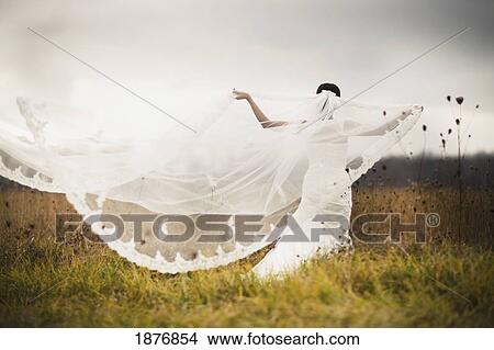 Picture - ontario, canada; a bride standing in a field and holding out her veil in the wind. Fotosearch