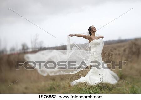 ontario, canada; a bride standing in a field holding out her veil in the wind View Large Photo Image Stock Image - ontario, canada; a bride standing in a field holding out her veil in the wind. Fotosearch