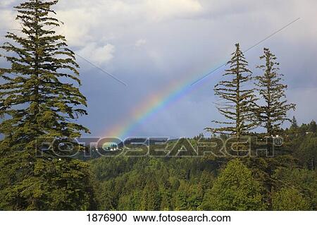 Stock Image - oregon, united states of america; a rainbow over happy valley. Fotosearch