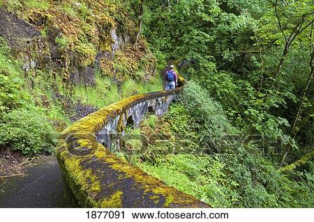 Stock Image - oregon, united states of america; a hiker along sheppard's del in columbia river gorge national scenic area. Fotosearch